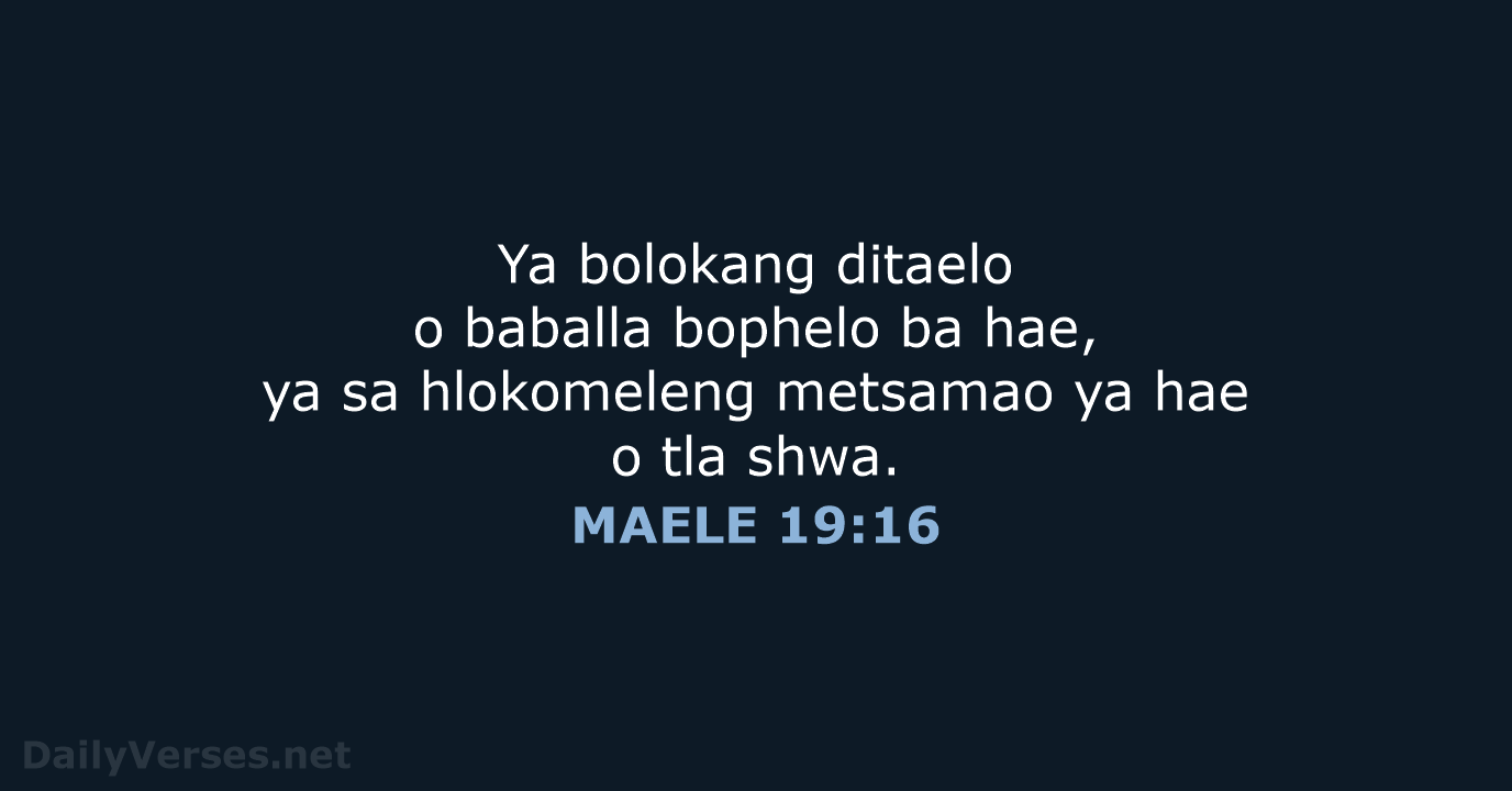 MAELE 19:16 - SSO89