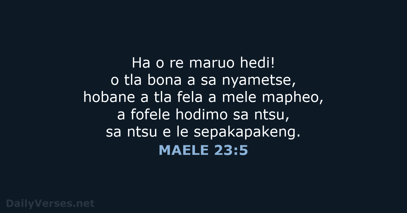 MAELE 23:5 - SSO89