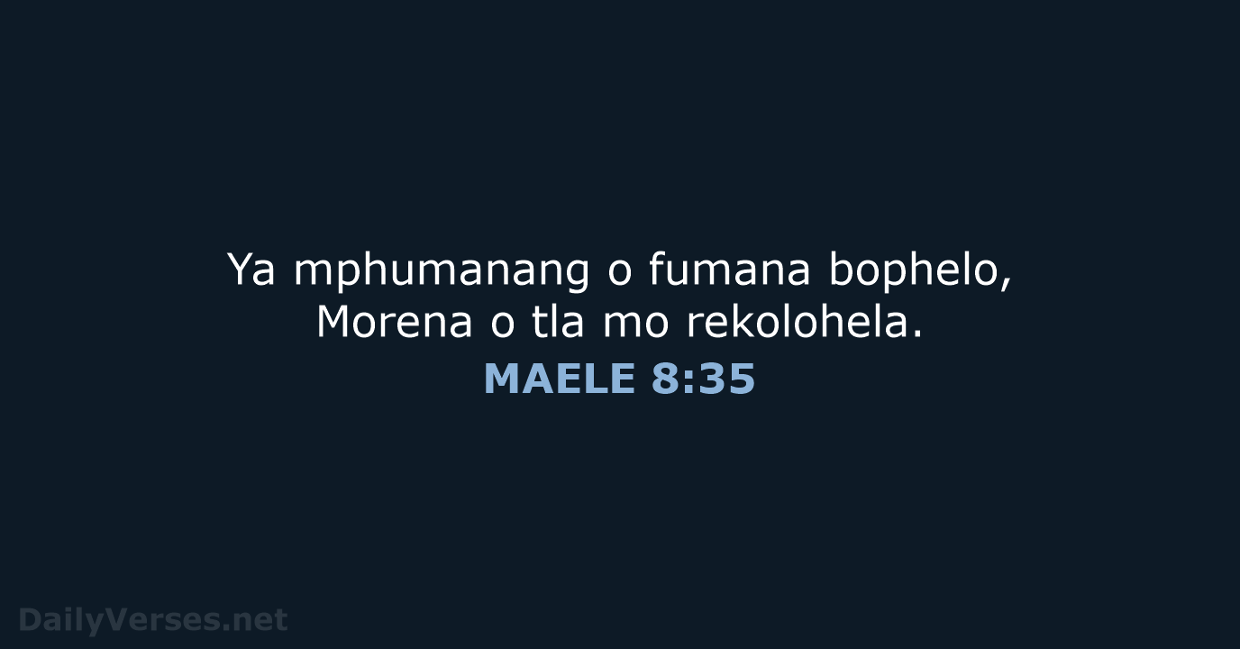 MAELE 8:35 - SSO89