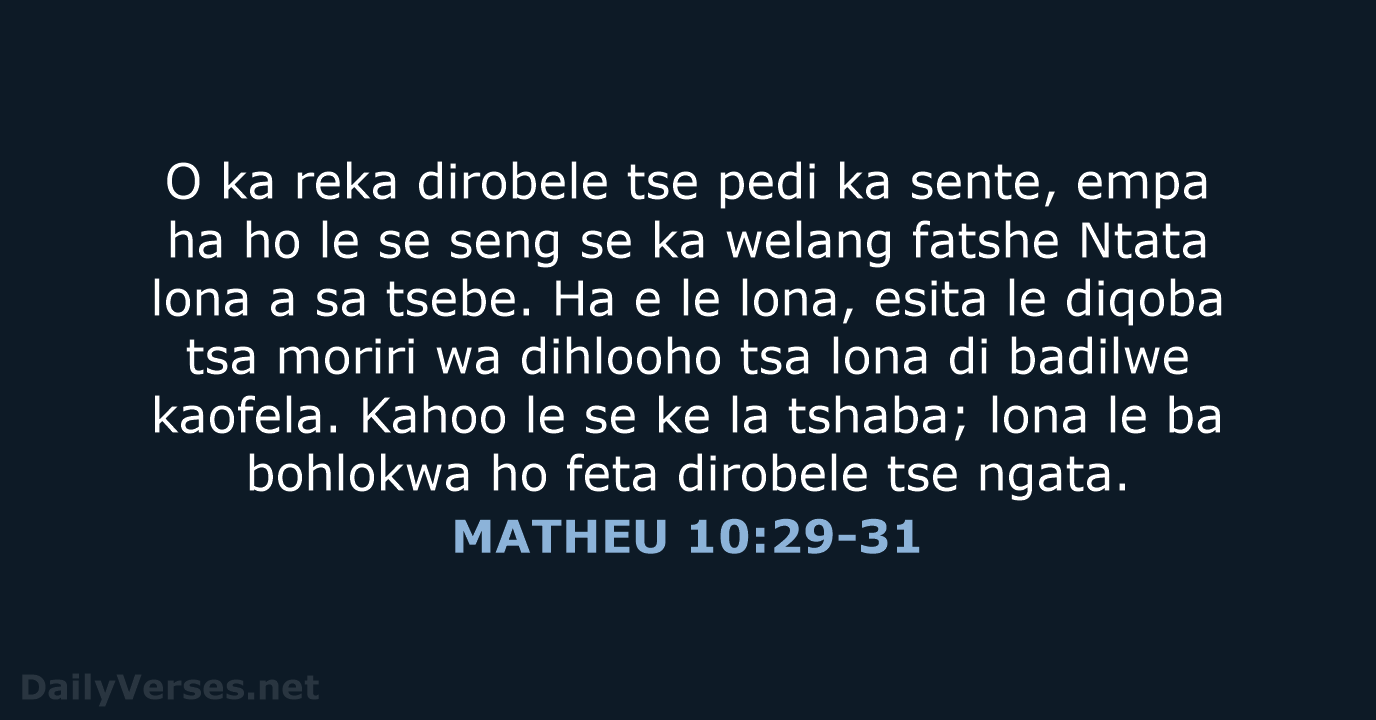 MATHEU 10:29-31 - SSO89