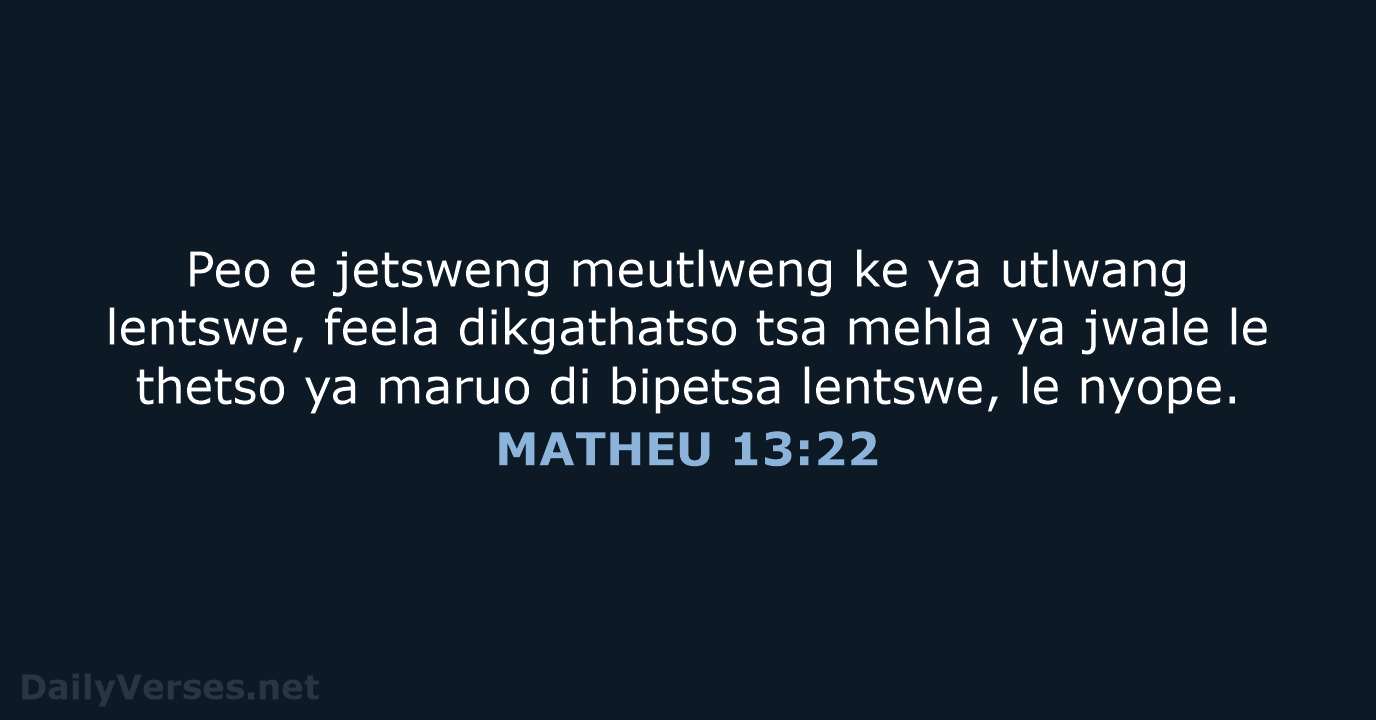 MATHEU 13:22 - SSO89
