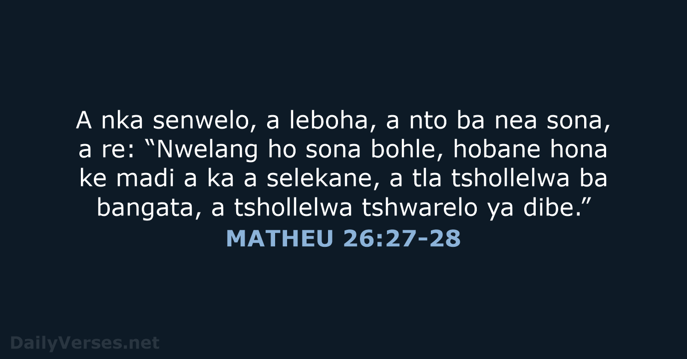 MATHEU 26:27-28 - SSO89