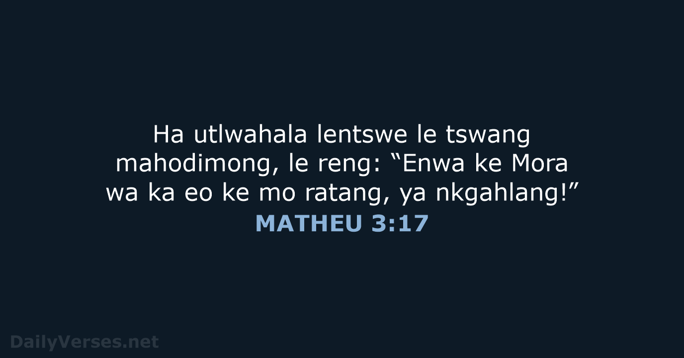 MATHEU 3:17 - SSO89