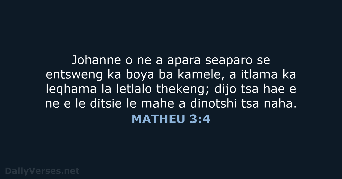MATHEU 3:4 - SSO89