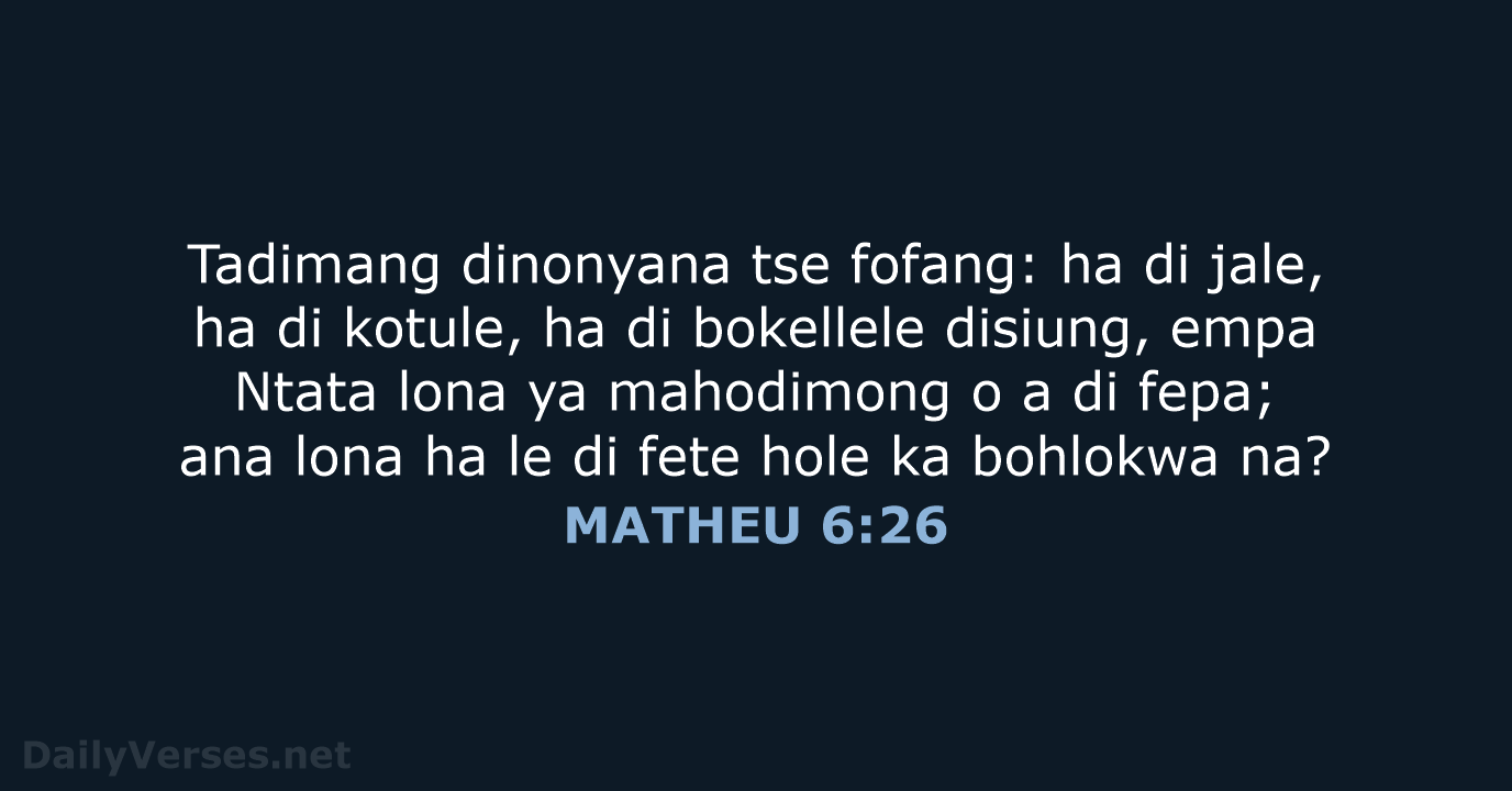 MATHEU 6:26 - SSO89