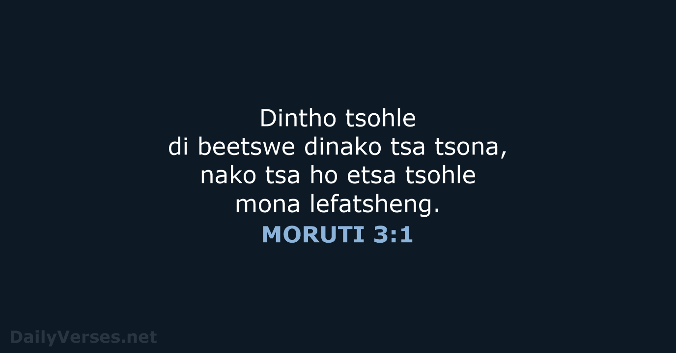 MORUTI 3:1 - SSO89