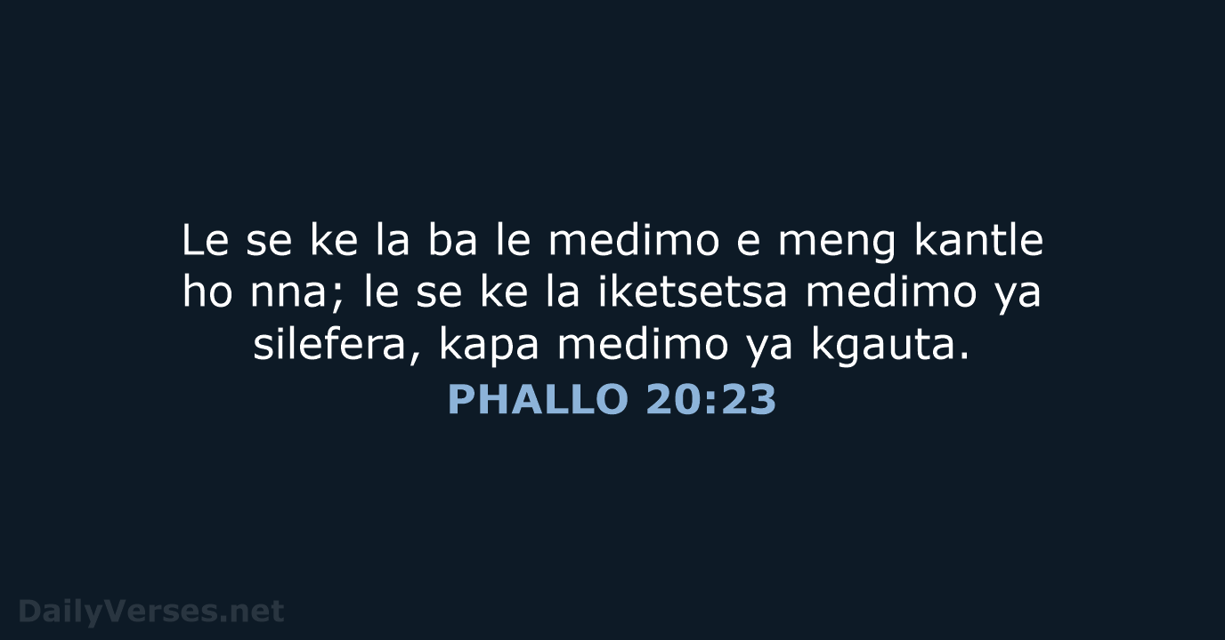 PHALLO 20:23 - SSO89