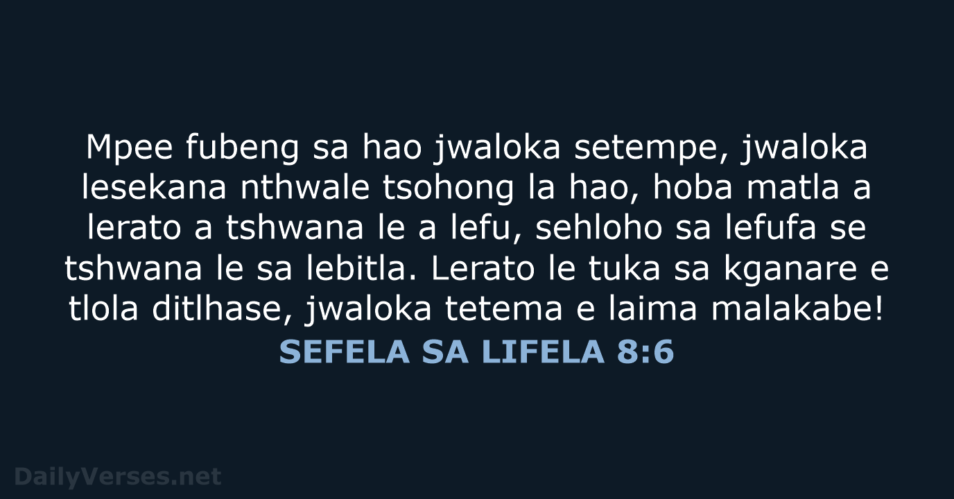 SEFELA SA LIFELA 8:6 - SSO89