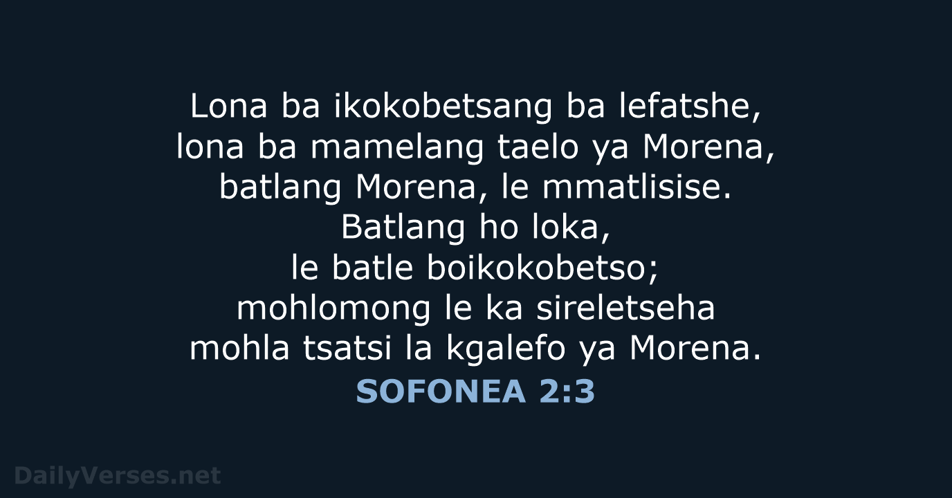 SOFONEA 2:3 - SSO89