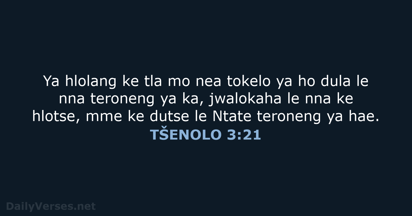 TŠENOLO 3:21 - SSO89