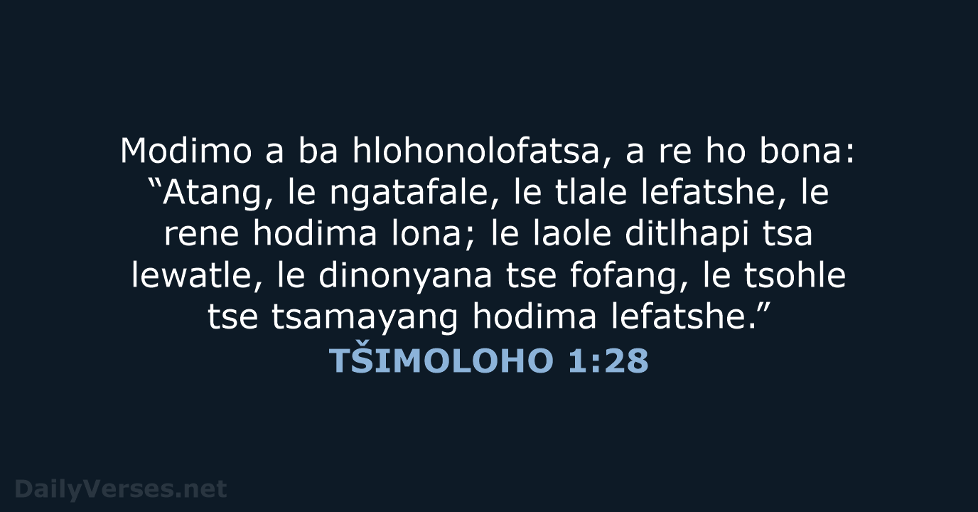 TŠIMOLOHO 1:28 - SSO89