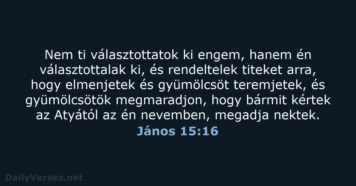 Nem ti választottatok ki engem, hanem én választottalak ki, és rendeltelek titeket… János 15:16