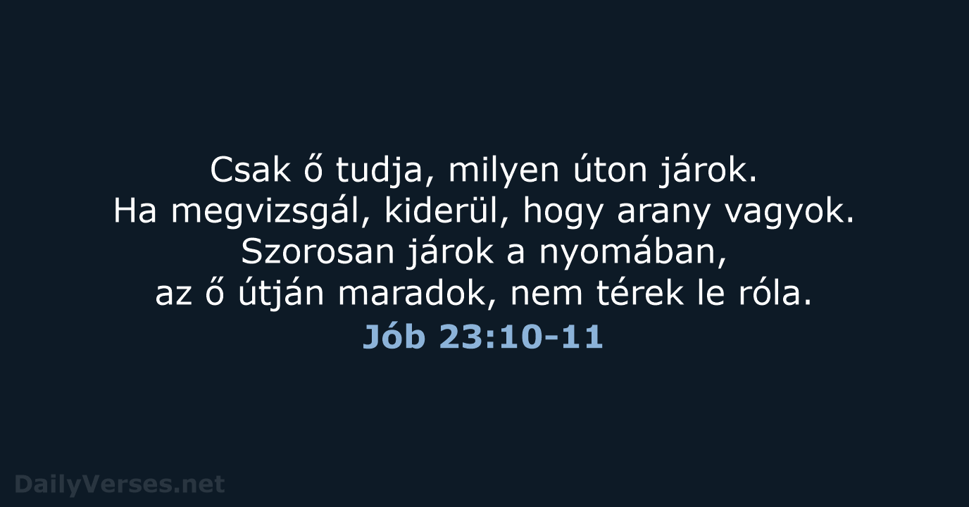 Jób 23:10-11 - UF