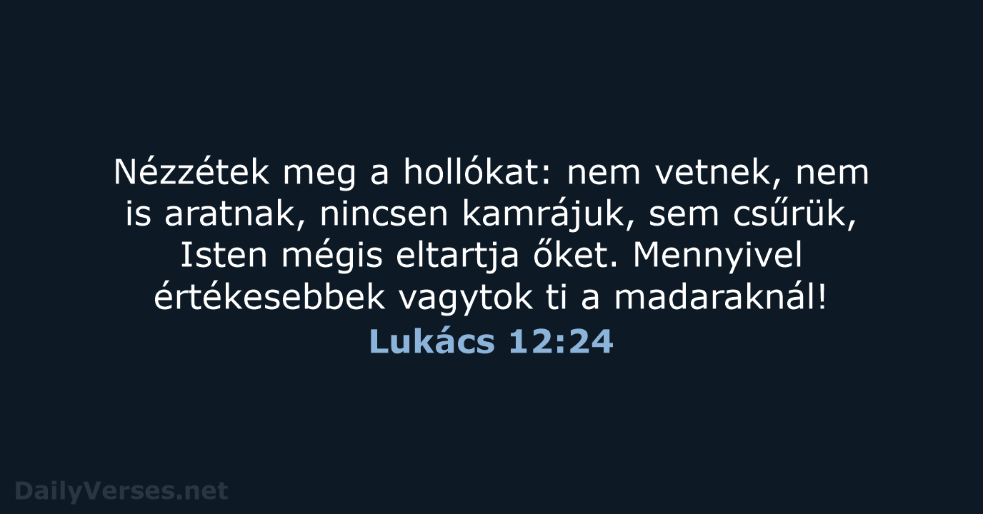 Lukács 12:24 - UF