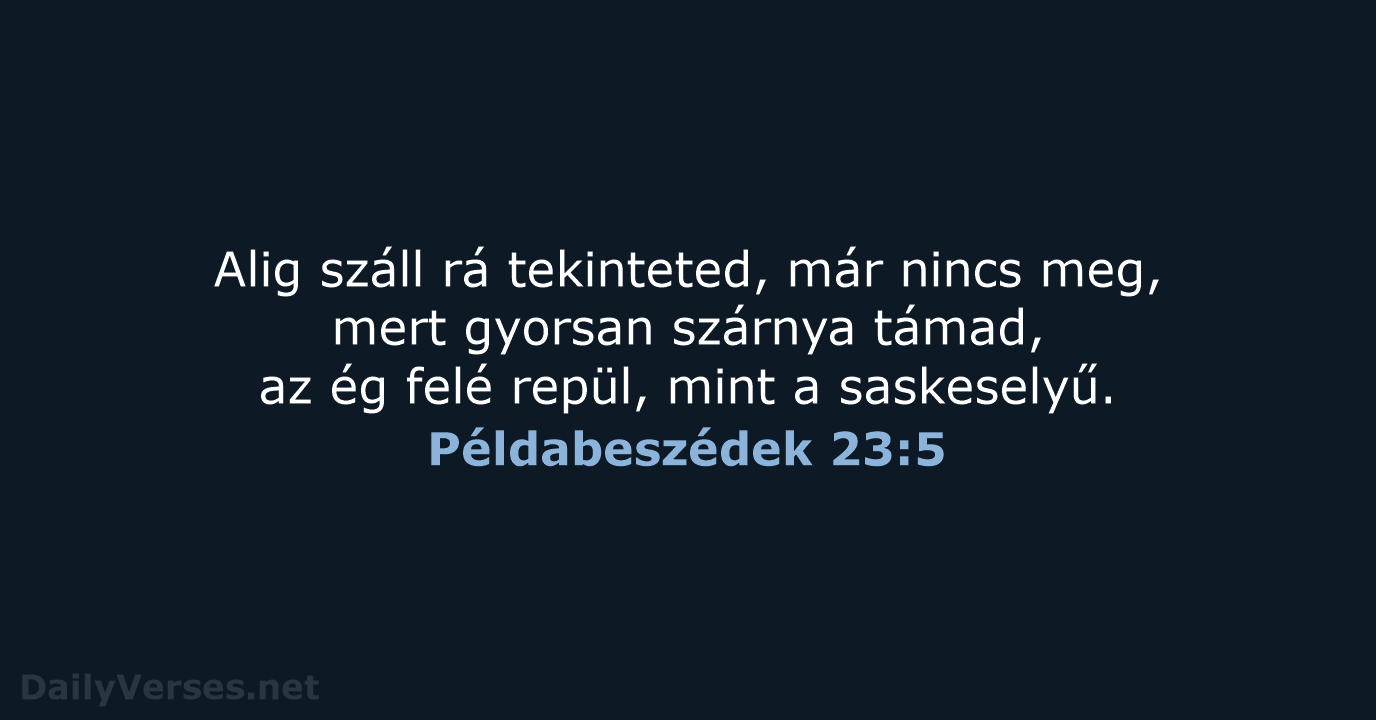 Példabeszédek 23:5 - UF