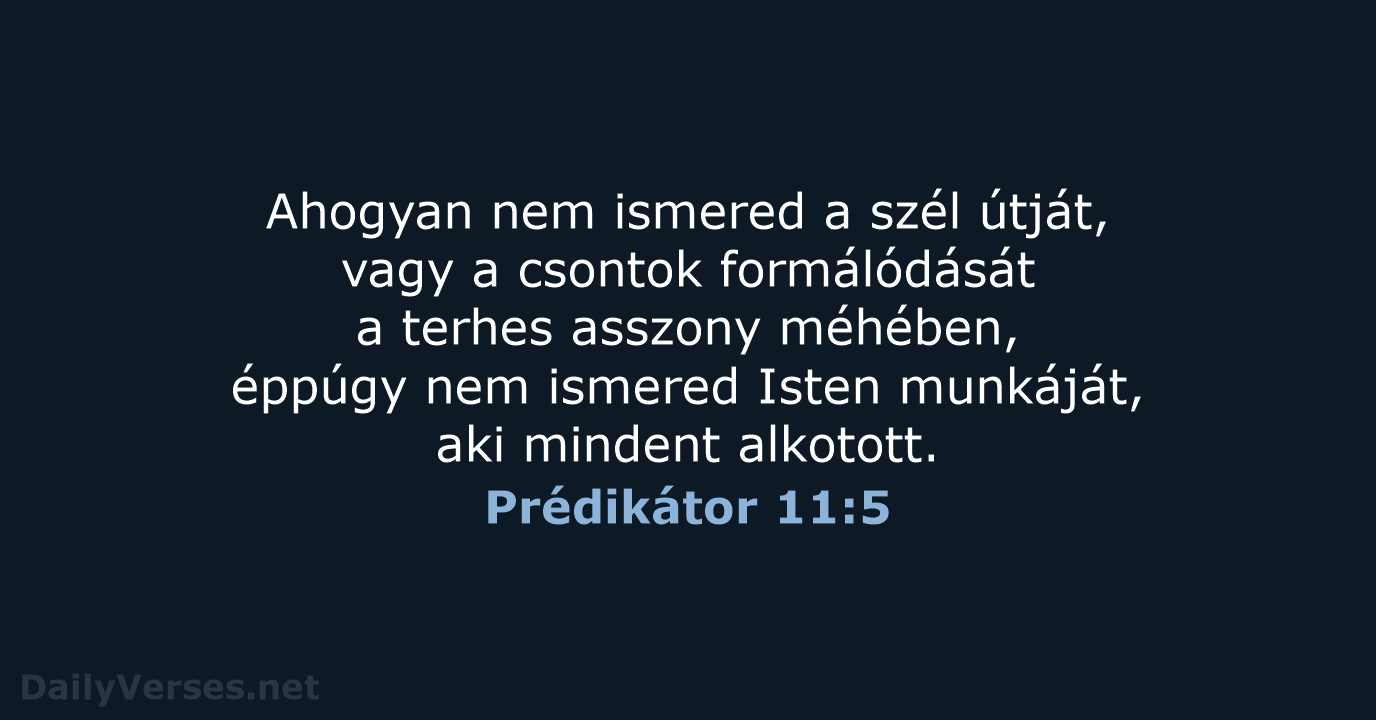 Ahogyan nem ismered a szél útját, vagy a csontok formálódását a terhes… Prédikátor 11:5