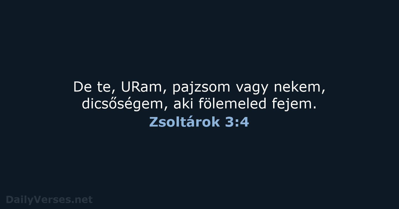 De te, URam, pajzsom vagy nekem, dicsőségem, aki fölemeled fejem. Zsoltárok 3:4