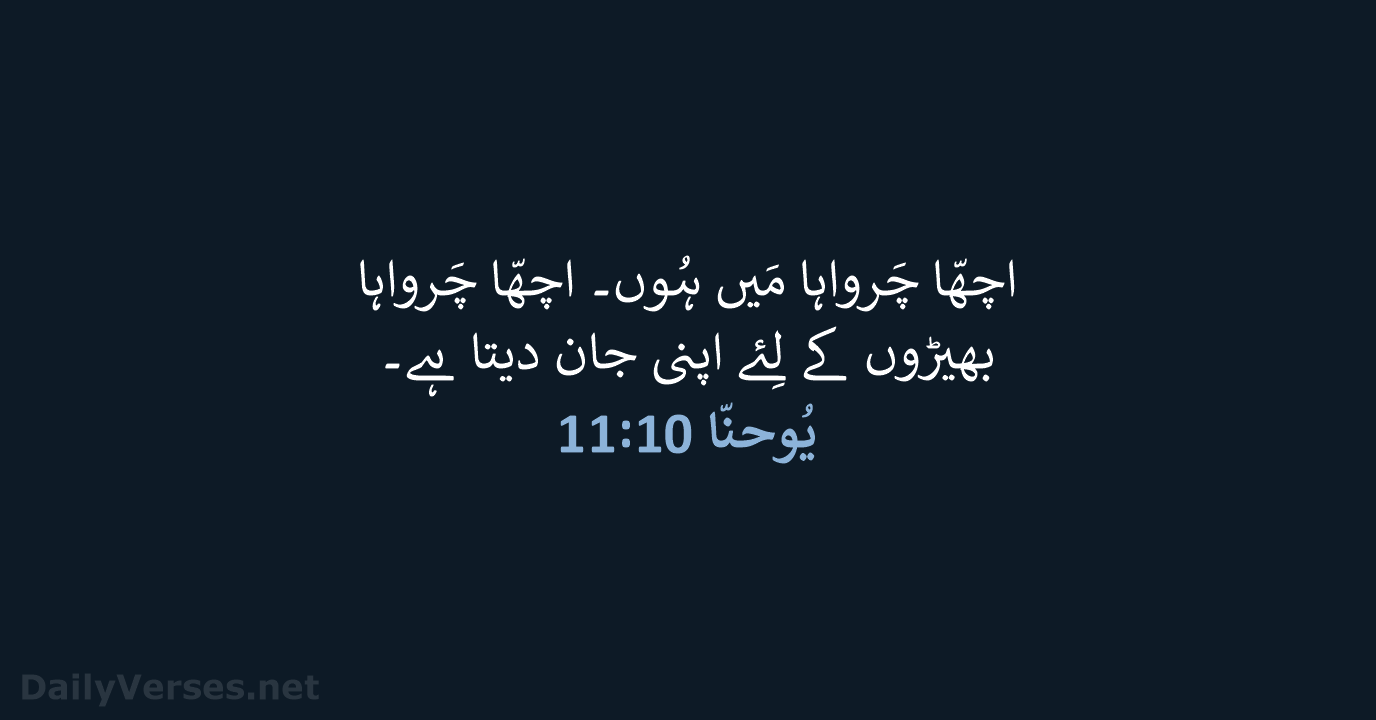 یُوحنّا 10:‏11 - URD