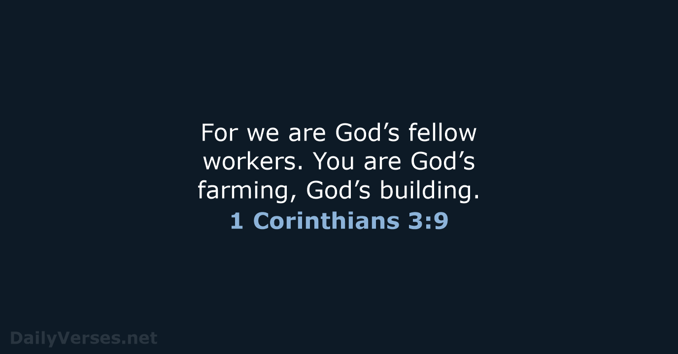 For we are God’s fellow workers. You are God’s farming, God’s building. 1 Corinthians 3:9