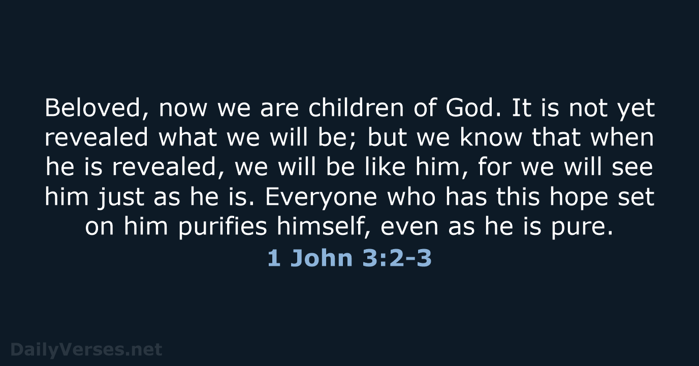 1 John 3:2-3 - WEB