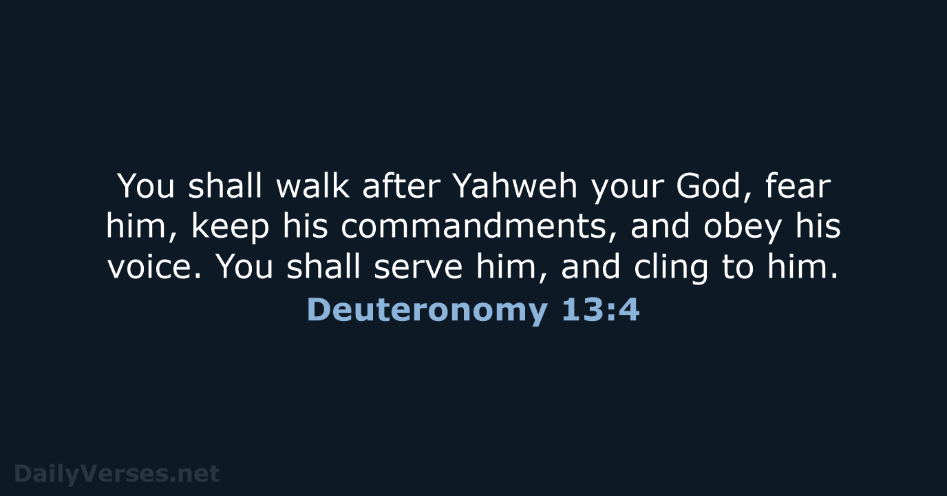Deuteronomy 13:4 - WEB