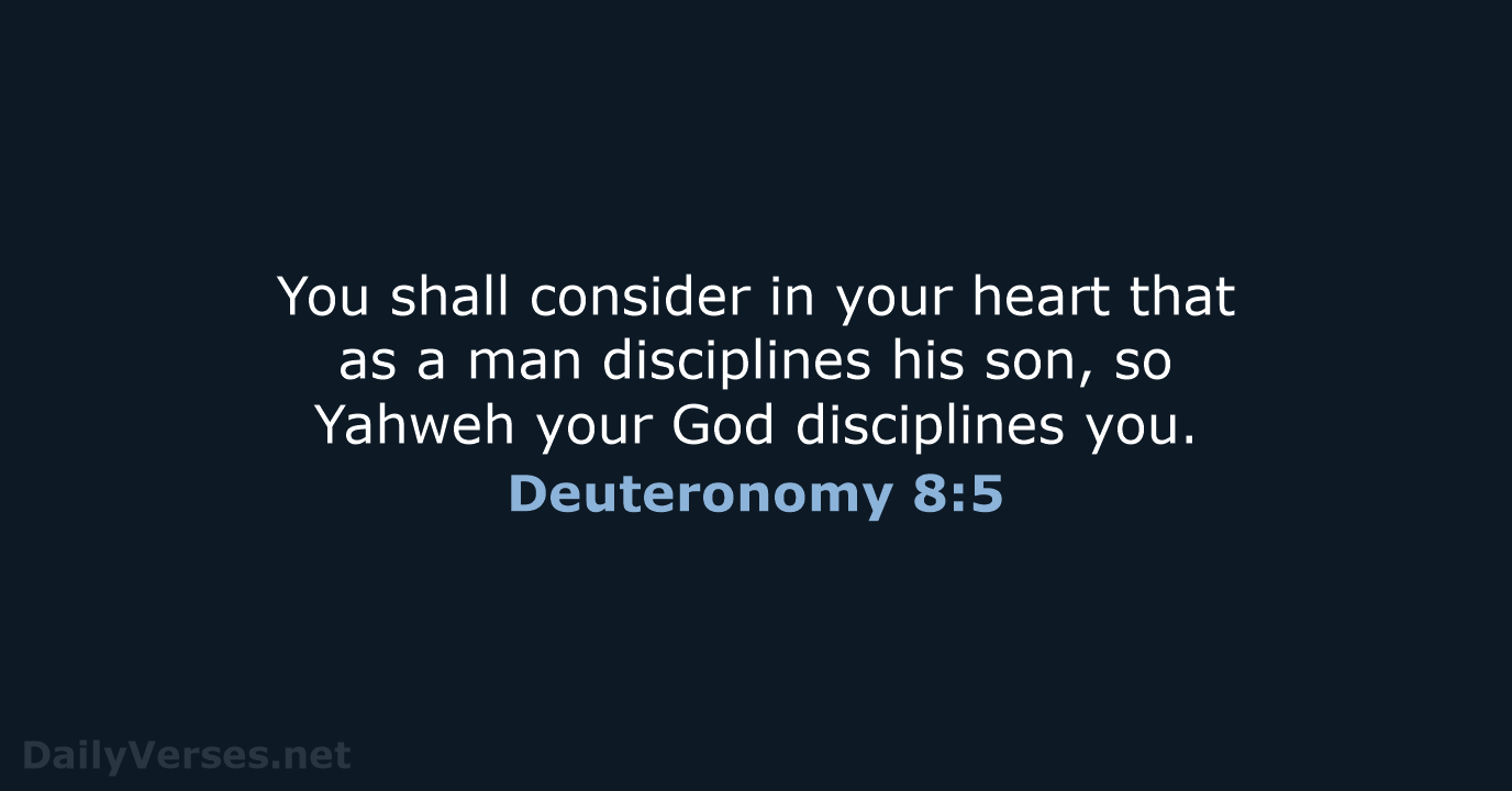 Deuteronomy 8:5 - WEB