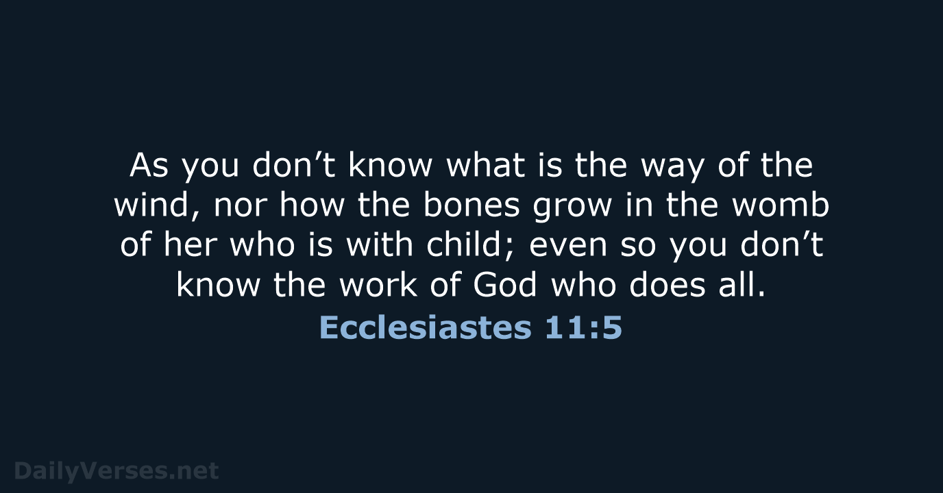 As you don’t know what is the way of the wind, nor… Ecclesiastes 11:5