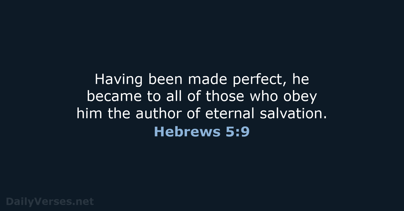 Hebrews 5 - WEB & NLT - DailyVerses.net