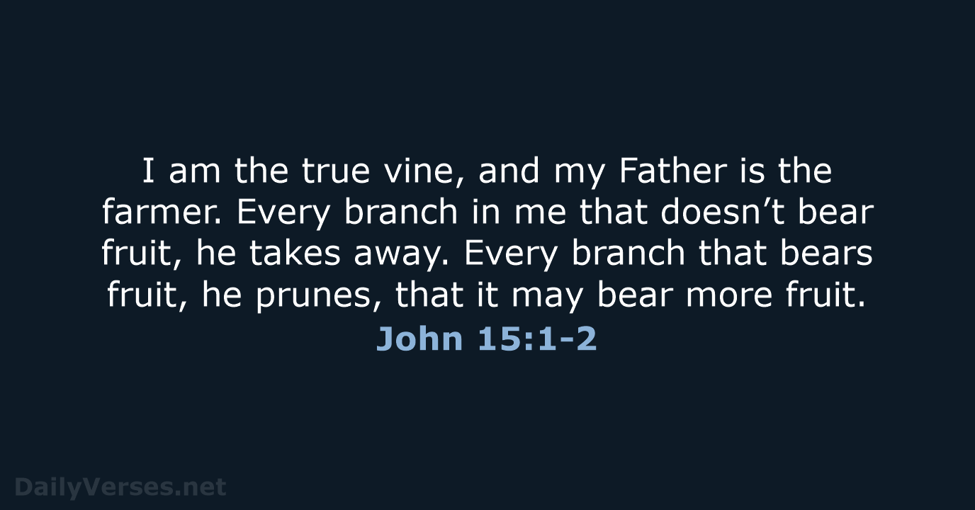 I am the true vine, and my Father is the farmer. Every… John 15:1-2