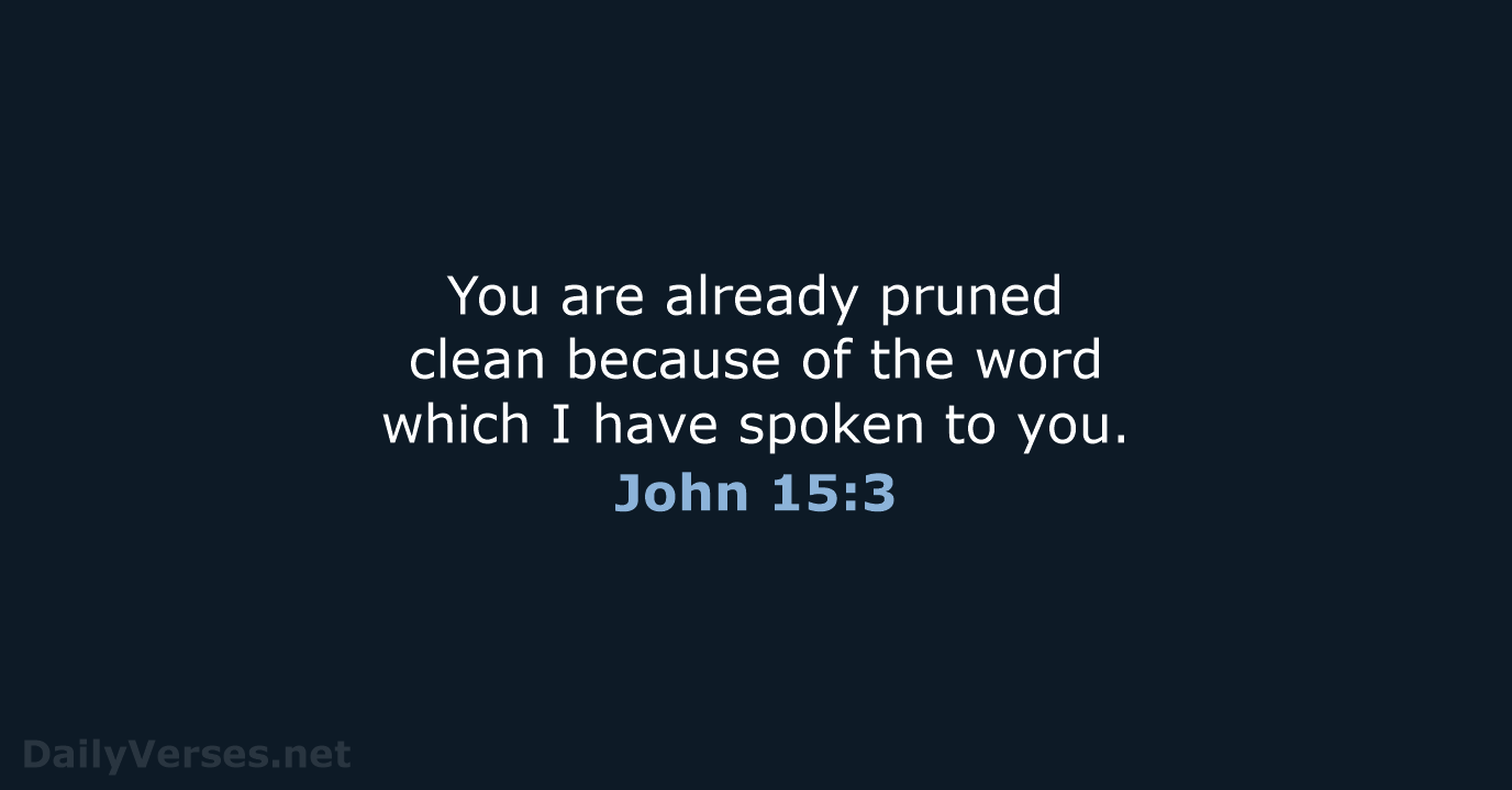 You are already pruned clean because of the word which I have… John 15:3