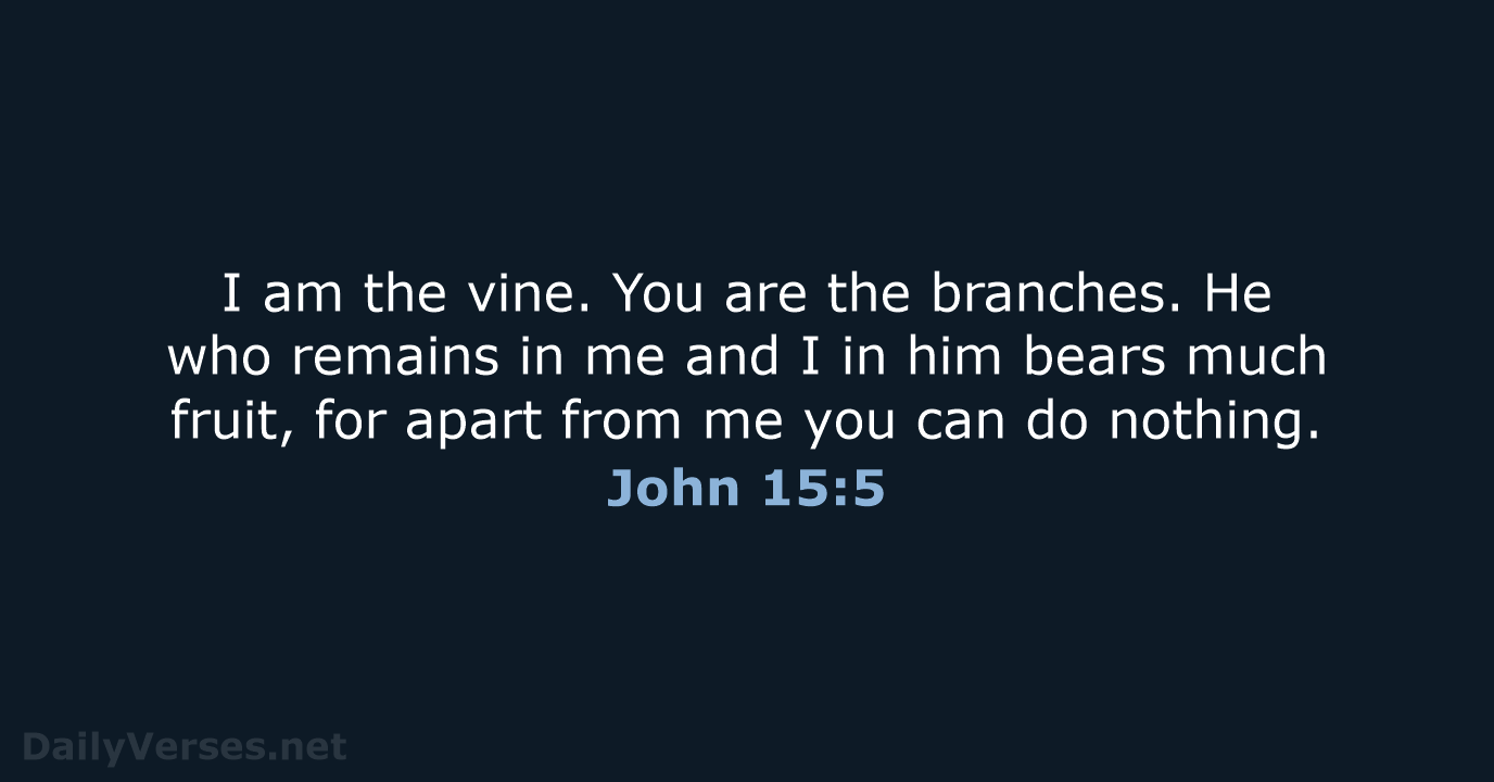 John 15:5 - WEB