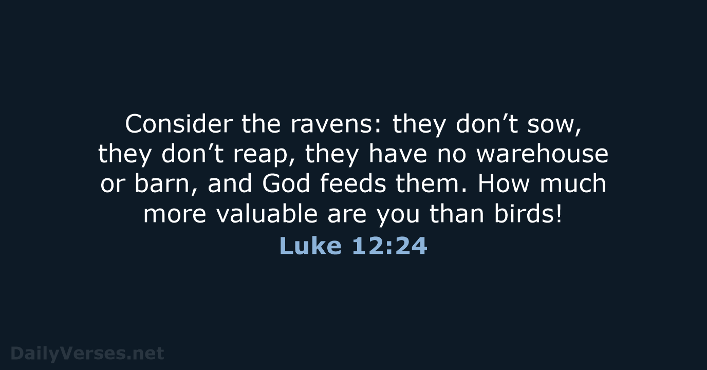 Consider the ravens: they don’t sow, they don’t reap, they have no… Luke 12:24
