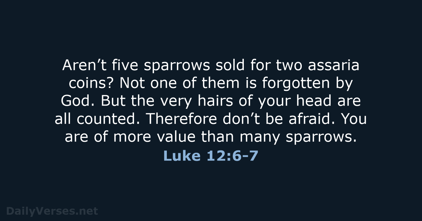 Luke 12:6-7 - WEB