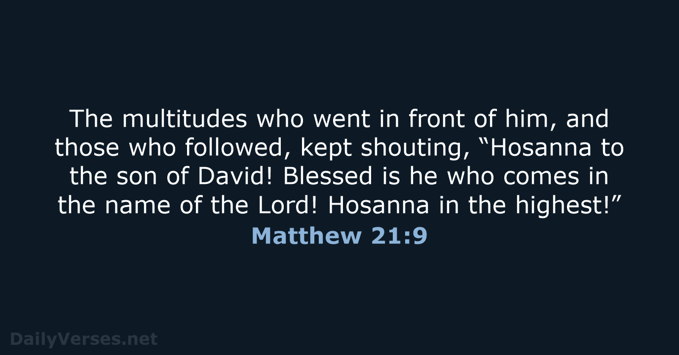 The multitudes who went in front of him, and those who followed… Matthew 21:9