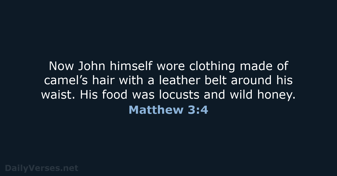 Now John himself wore clothing made of camel’s hair with a leather… Matthew 3:4