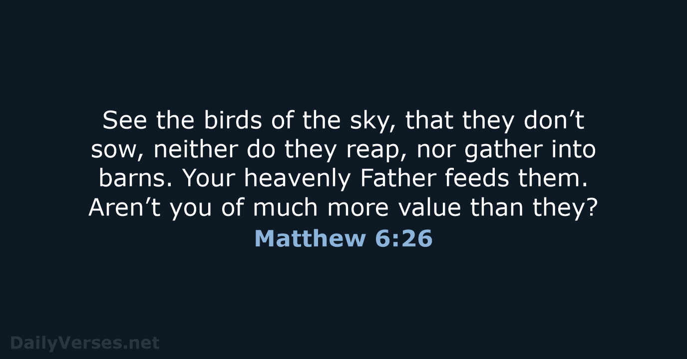 See the birds of the sky, that they don’t sow, neither do… Matthew 6:26