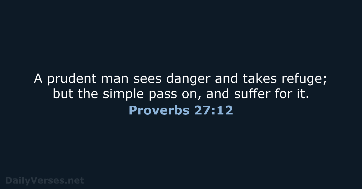 Proverbs 27:12 - WEB