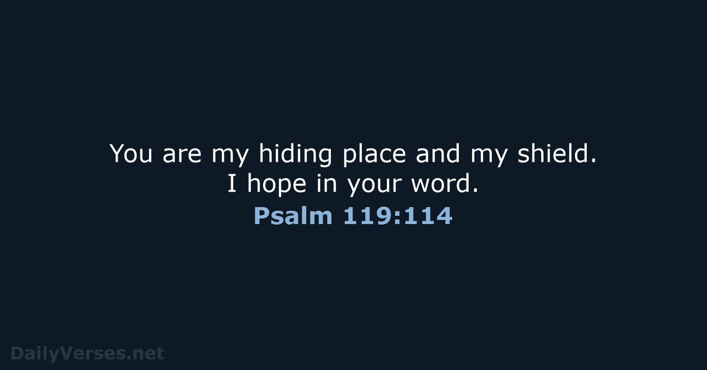 You are my hiding place and my shield. I hope in your word. Psalm 119:114