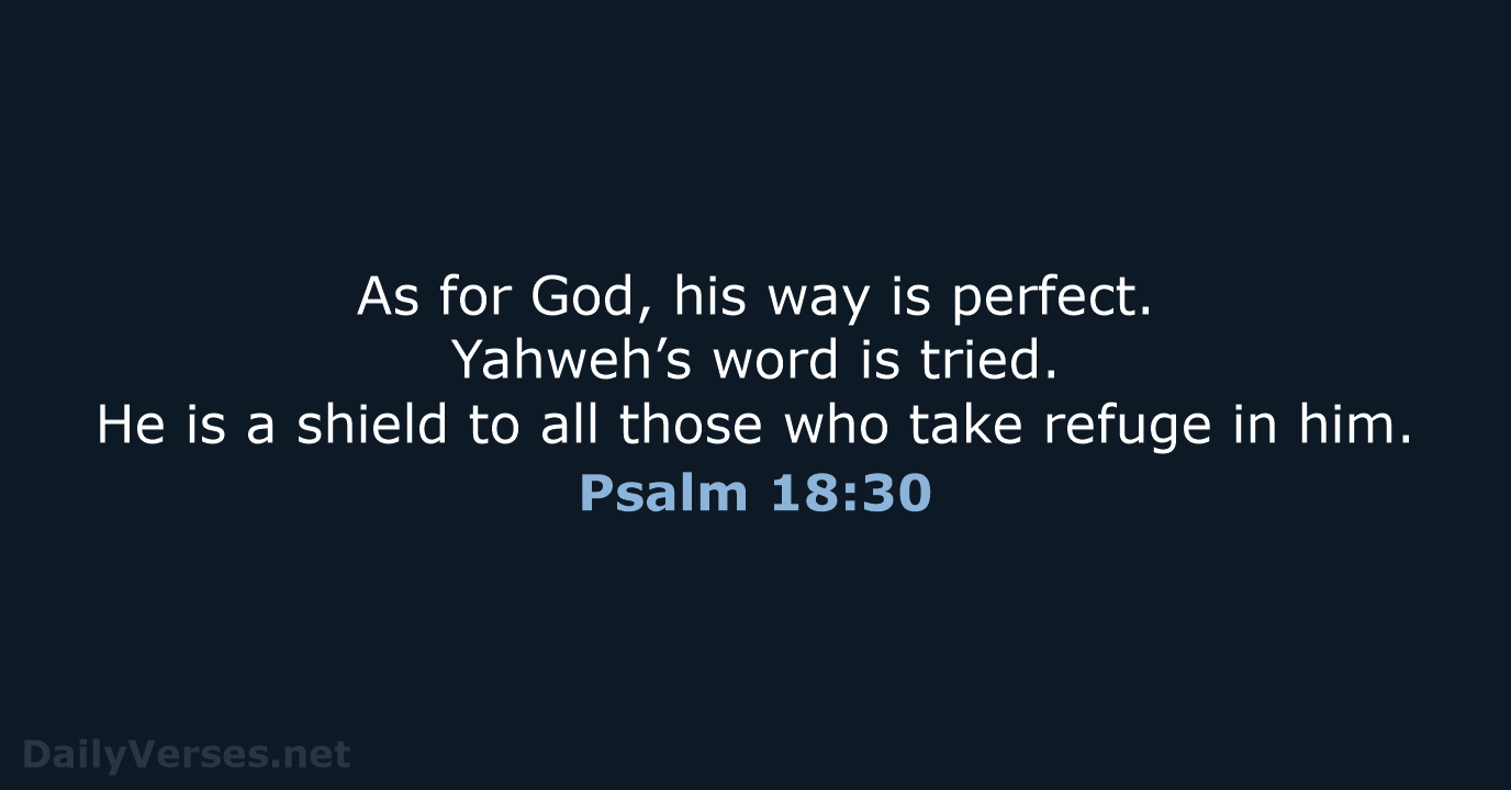 Psalm 18:30 - WEB