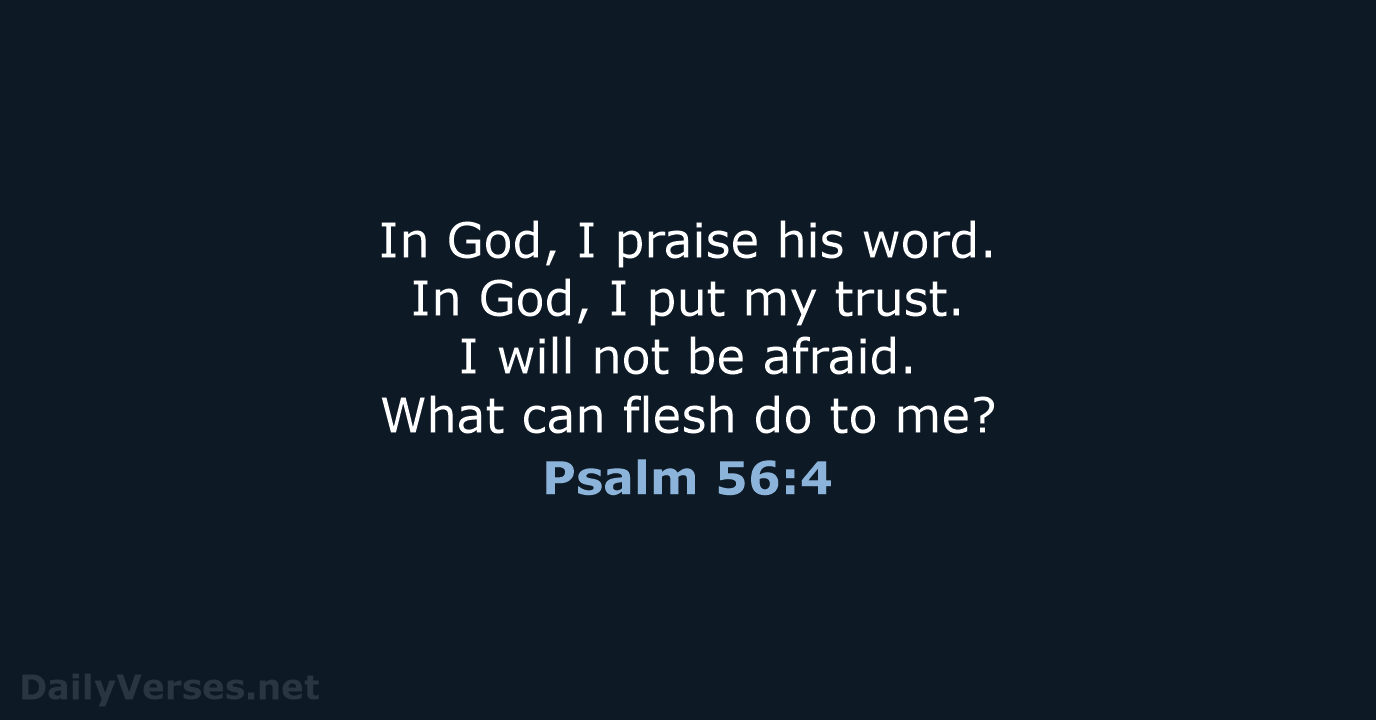 Psalm 56:4 - WEB