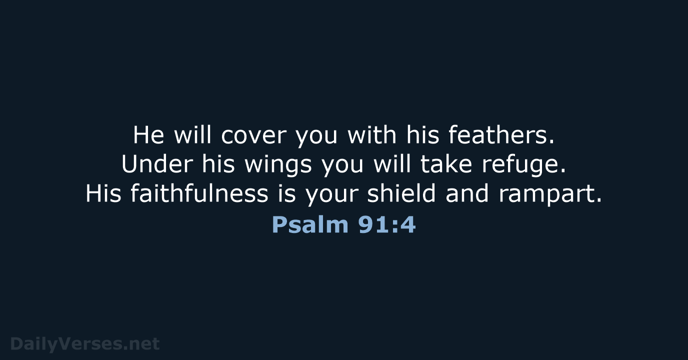 Psalm 91:4 - WEB