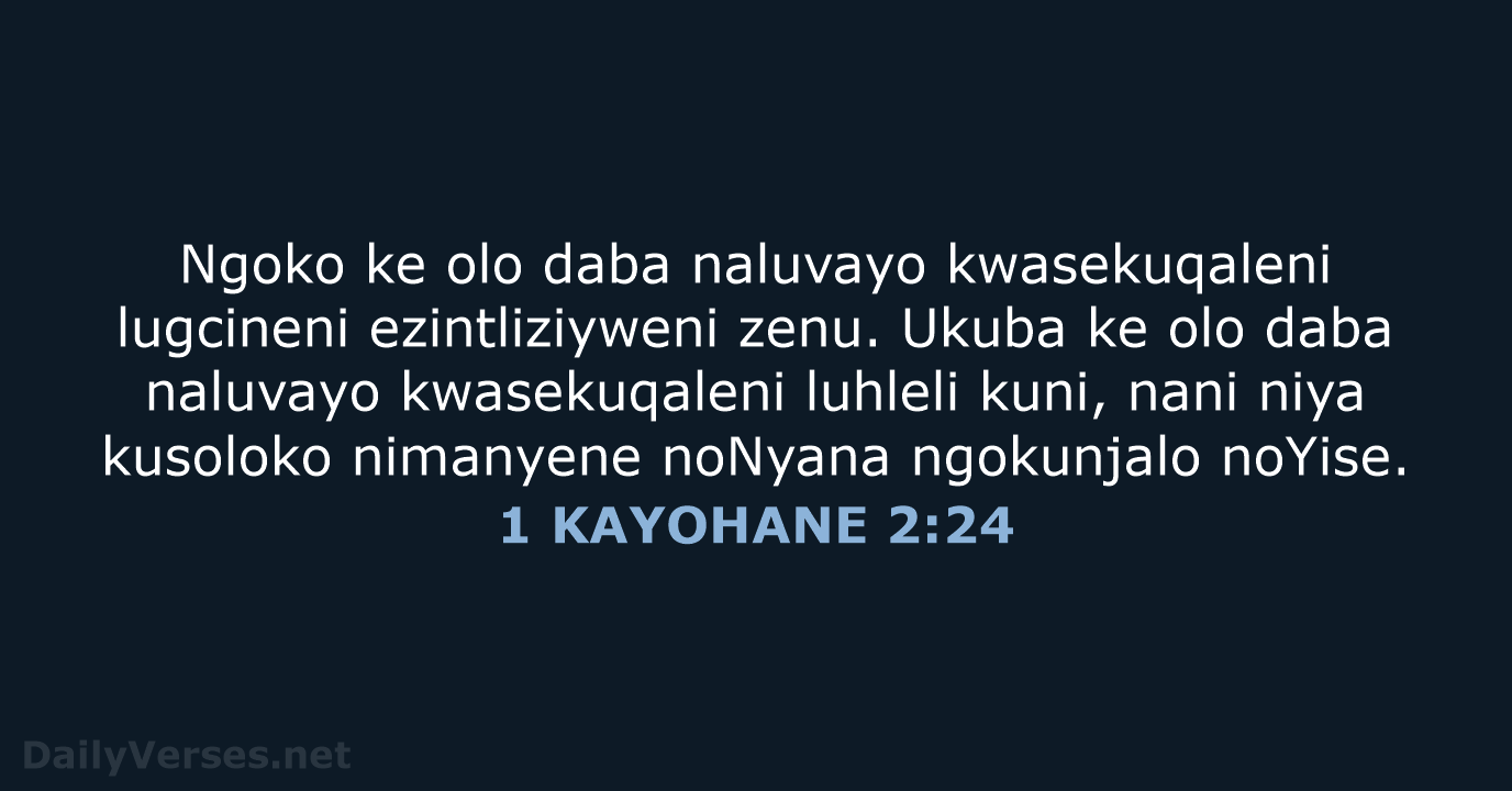 1 KAYOHANE 2:24 - XHO96