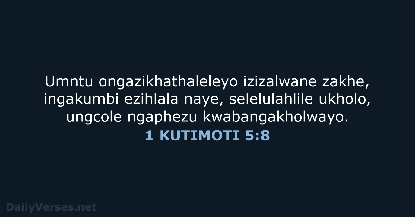 1 KUTIMOTI 5:8 - XHO96