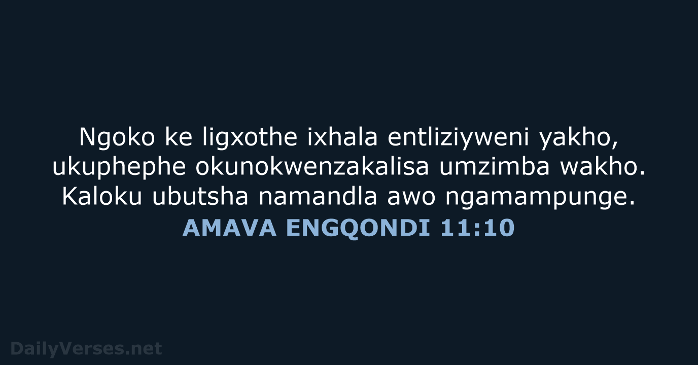 AMAVA ENGQONDI 11:10 - XHO96