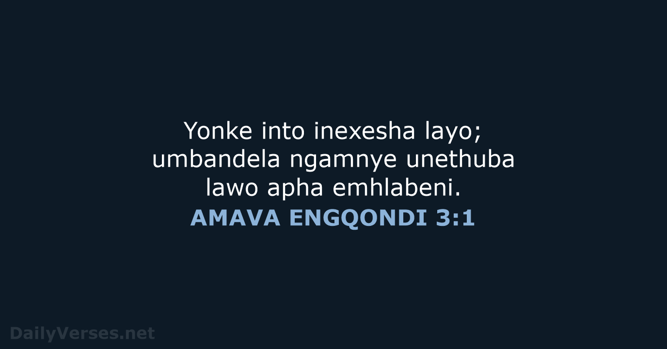 AMAVA ENGQONDI 3:1 - XHO96