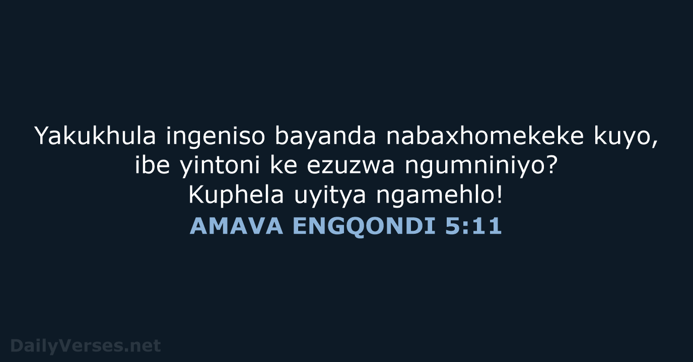 AMAVA ENGQONDI 5:11 - XHO96