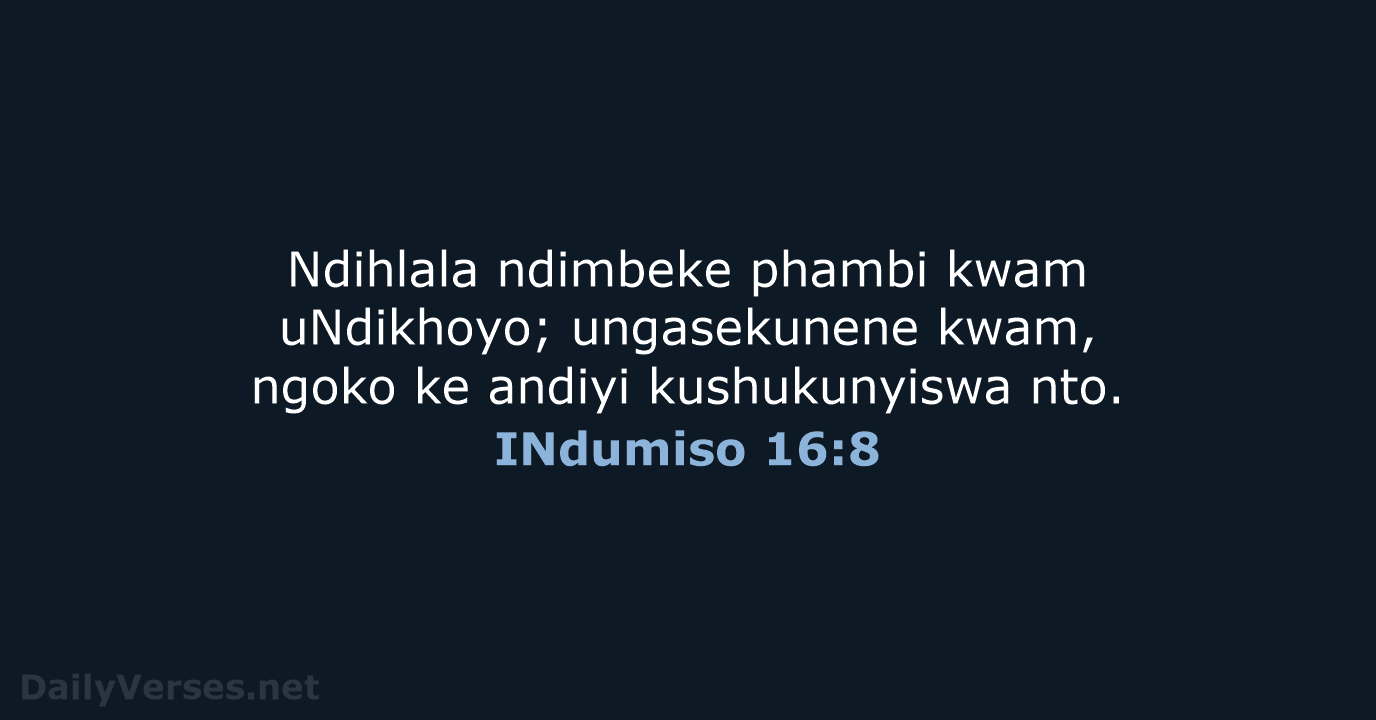 INdumiso 16:8 - XHO96