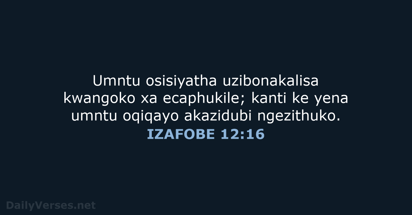 IZAFOBE 12:16 - XHO96