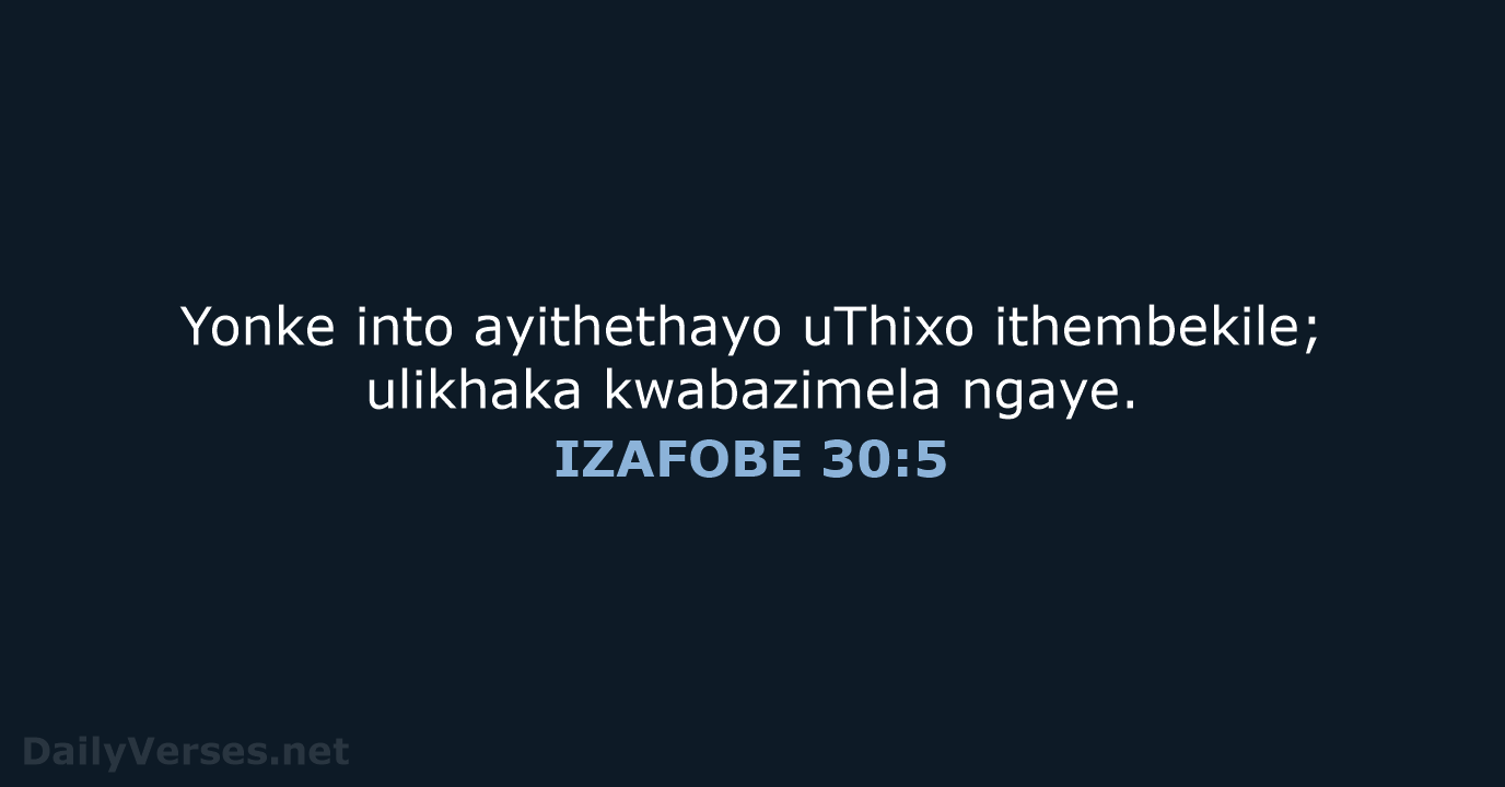 Yonke into ayithethayo uThixo ithembekile; ulikhaka kwabazimela ngaye. IZAFOBE 30:5