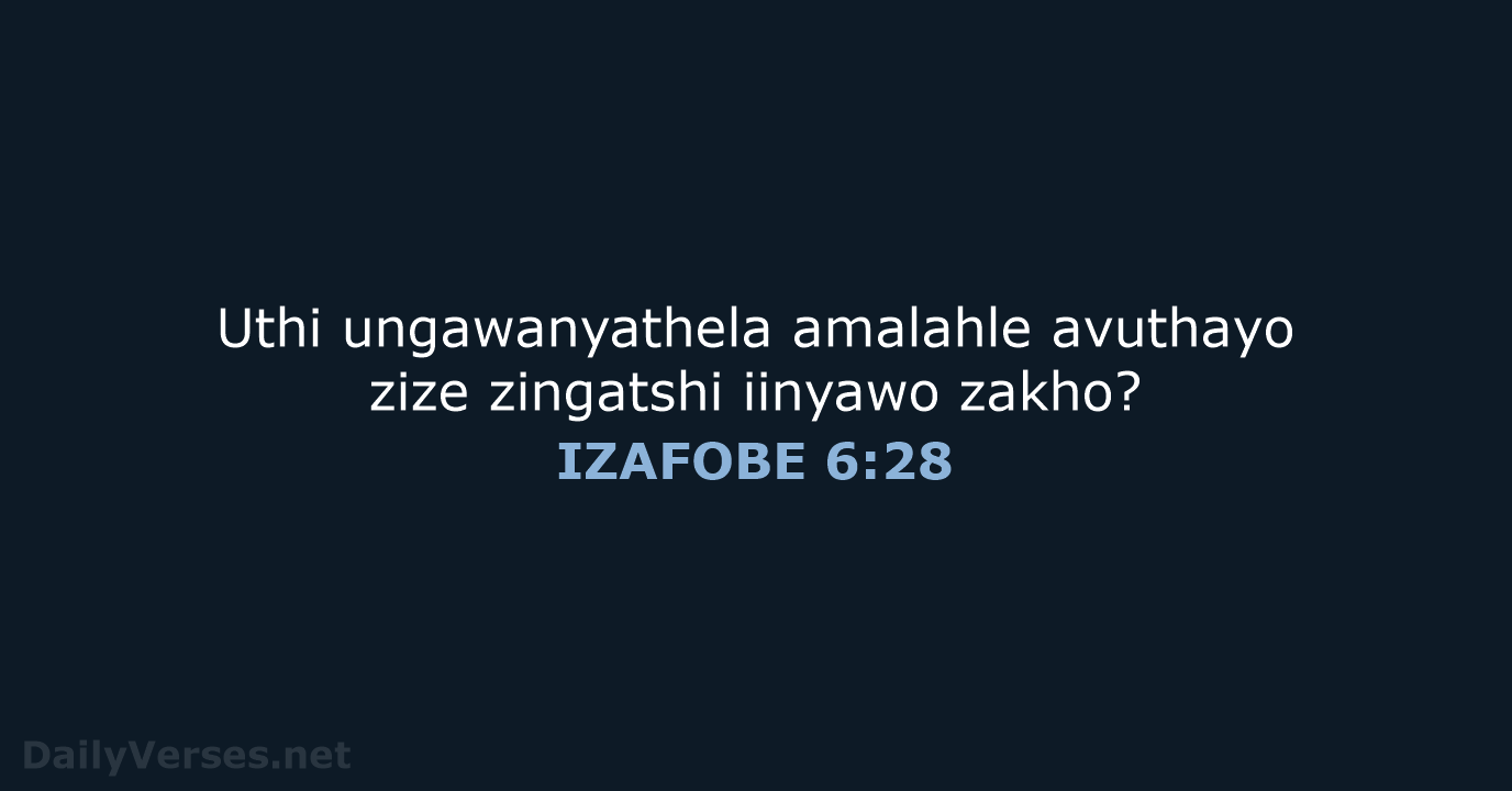 IZAFOBE 6:28 - XHO96